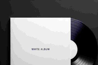 Beatles Vinyl White Album