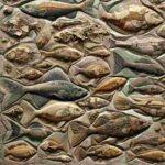 Fossile Fische