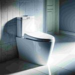 Kohler Wc Sitz Escale