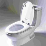 Kohler Wc Sitz Odela