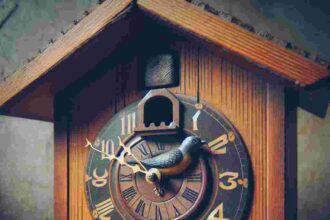 Kuckucksuhr Gebraucht