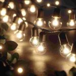 Lichterkette Mit Birnen