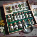 Wilthener Gebirgskräuter Test